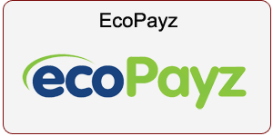 Deposit in casino with ecopayz